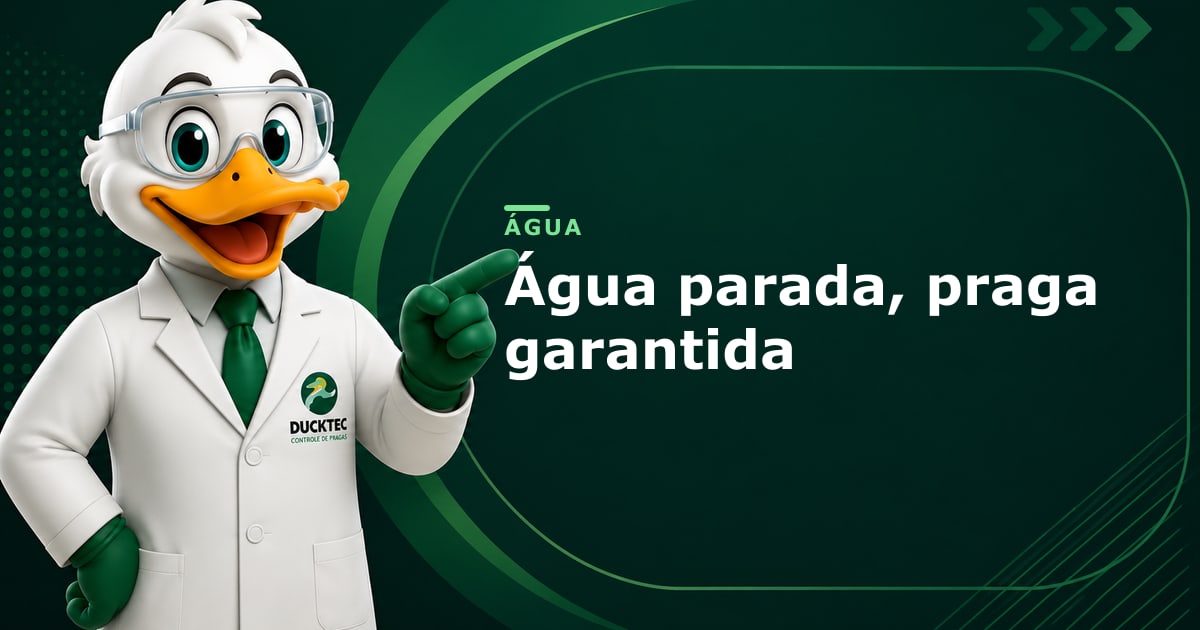 Água parada, praga garantida — Dr. Duck