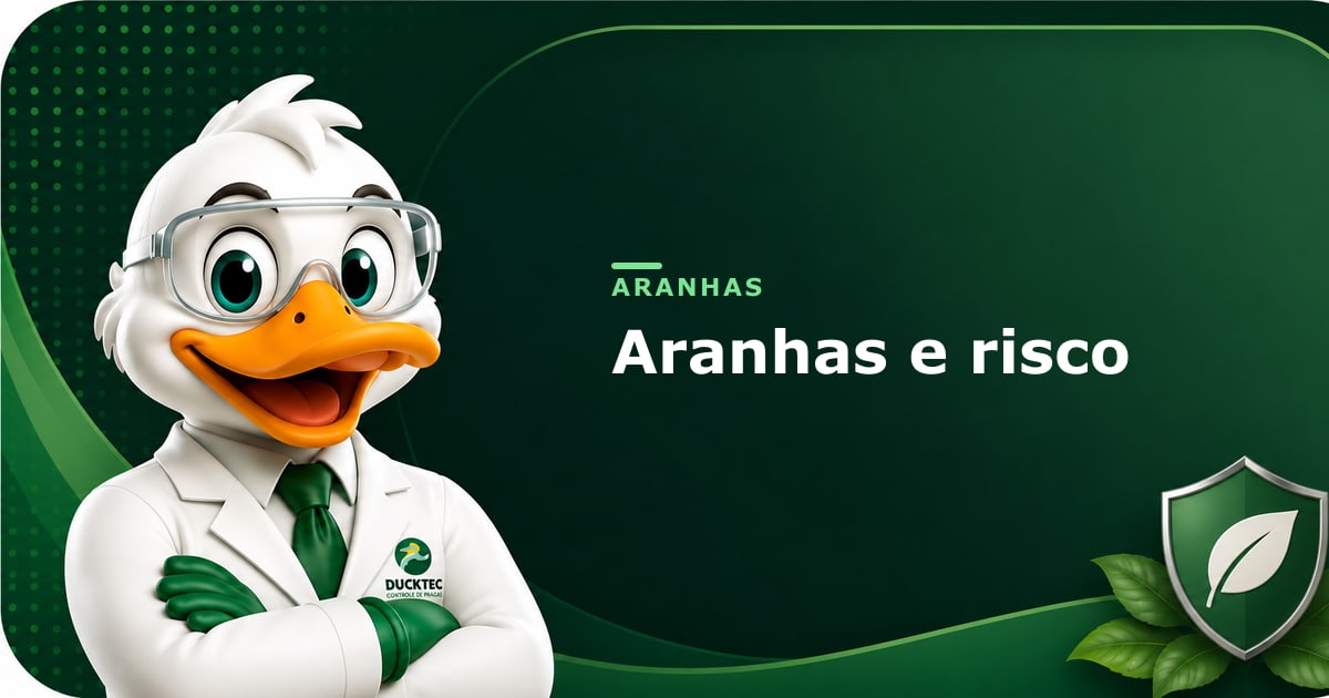 aranhas quais oferecem risco e como prevenir — Dr. Duck