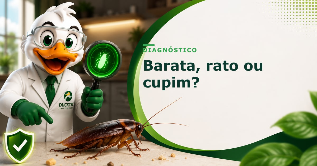 Fases do cupim: da revoada à colônia — Ducktec