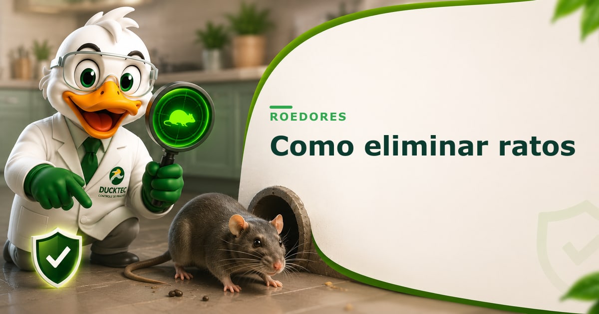 Como eliminar ratos — Dr. Duck
