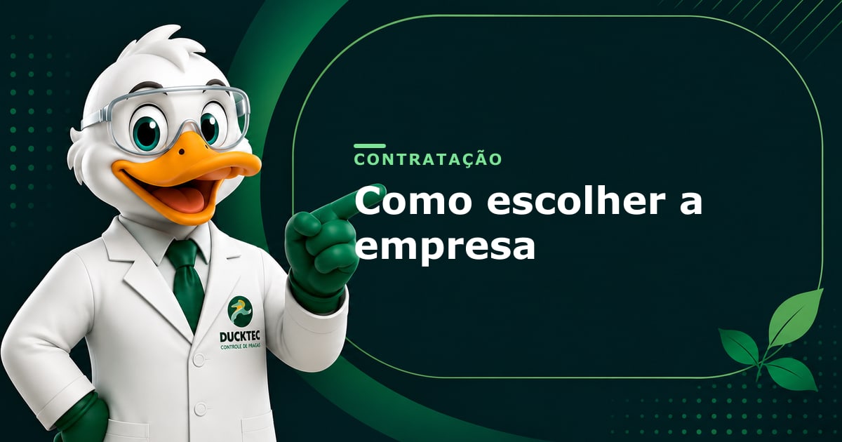 Como escolher a empresa — Dr. Duck
