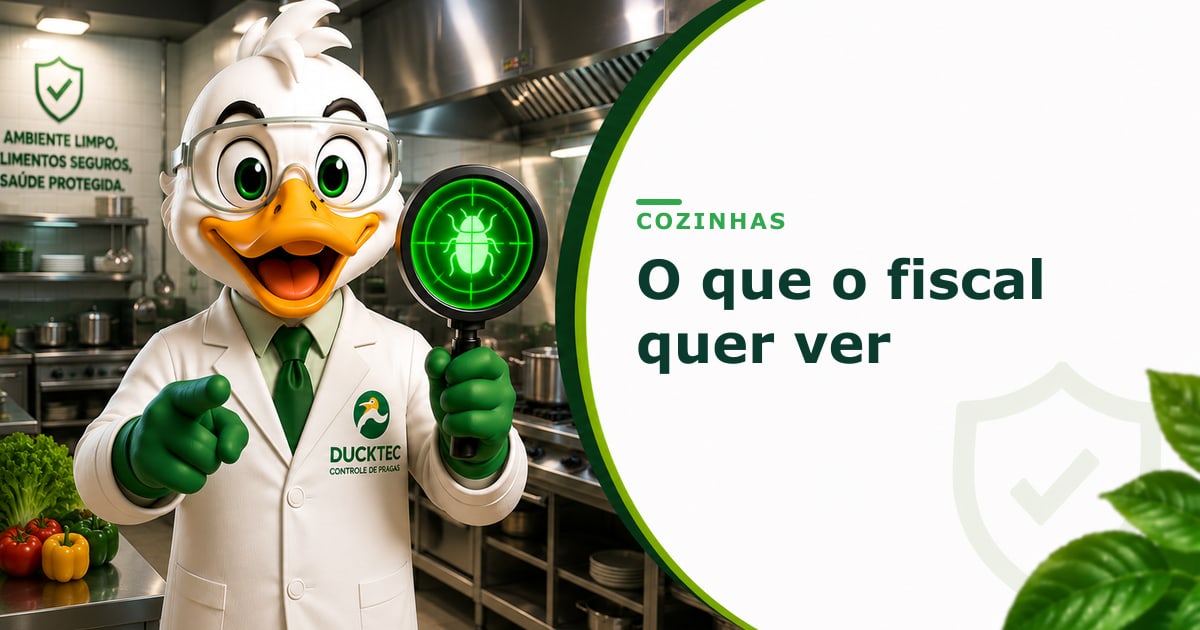 O que o fiscal quer ver — Dr. Duck