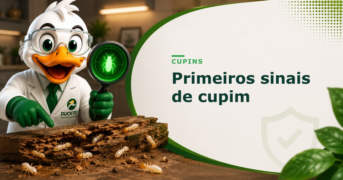 Primeiros sinais de cupim — Dr. Duck