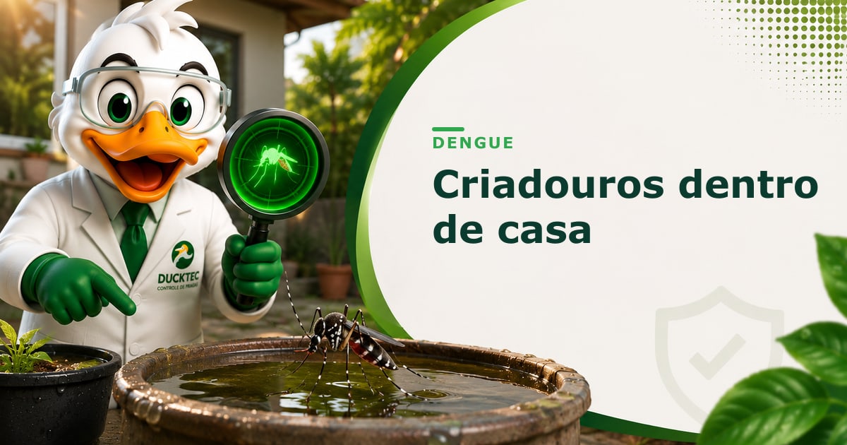Dengue — criadouros do mosquito Aedes aegypti