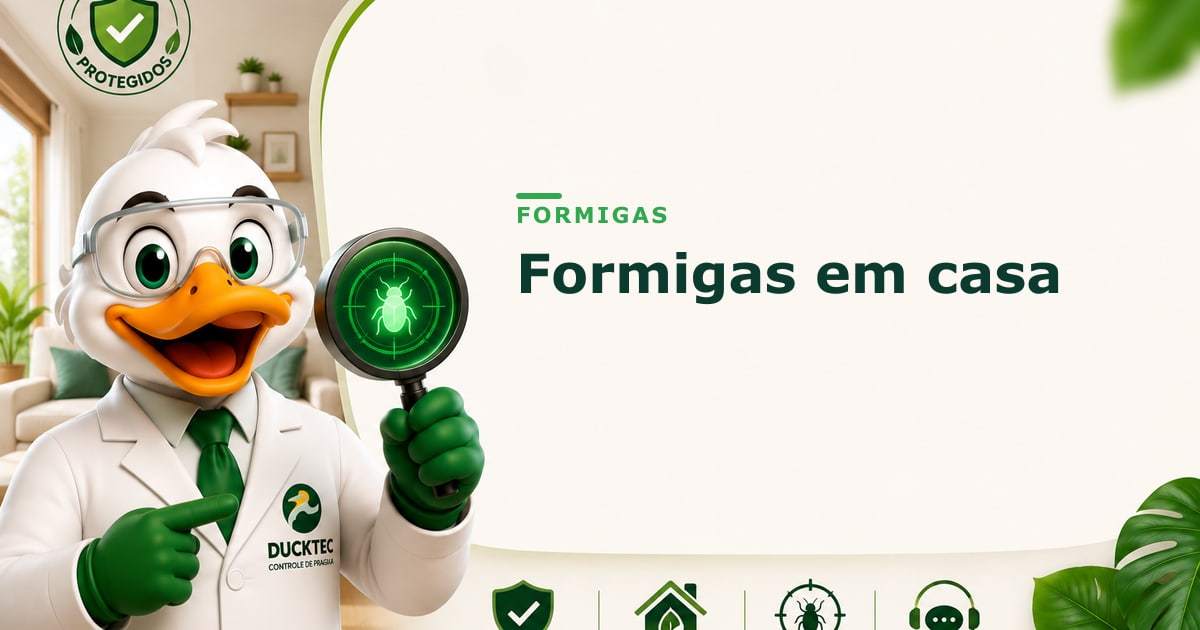formigas em casa como acabar de vez — Dr. Duck