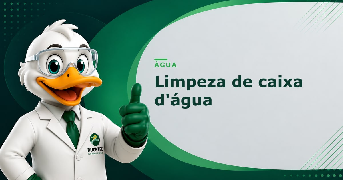 Limpeza de caixa d'água — Dr. Duck