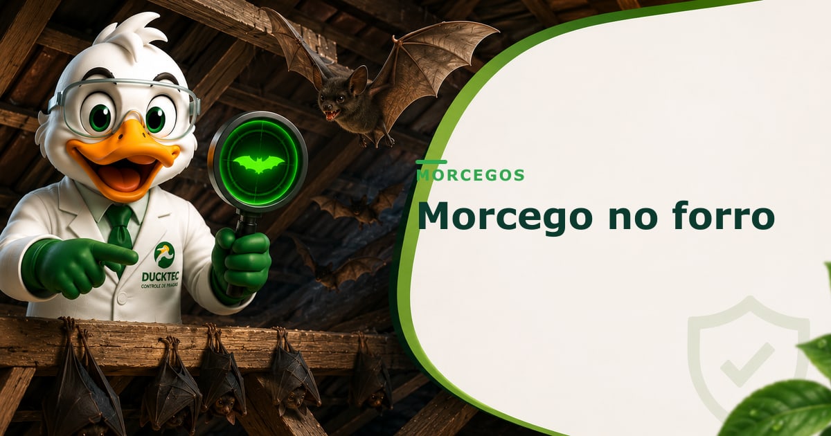 Morcego em casa — risco de raiva e o que a lei proíbe