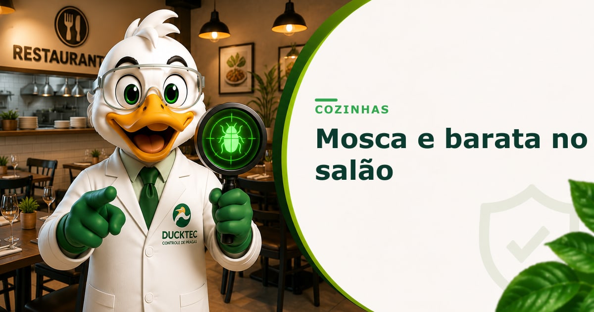Mosca e barata no salão — Dr. Duck