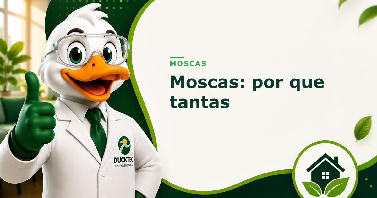moscas por que tantas e como controlar — Dr. Duck
