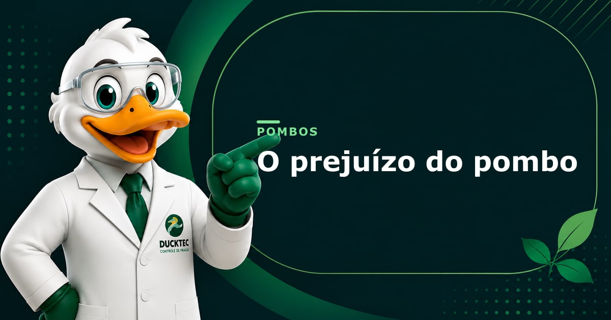 O prejuízo do pombo — Dr. Duck