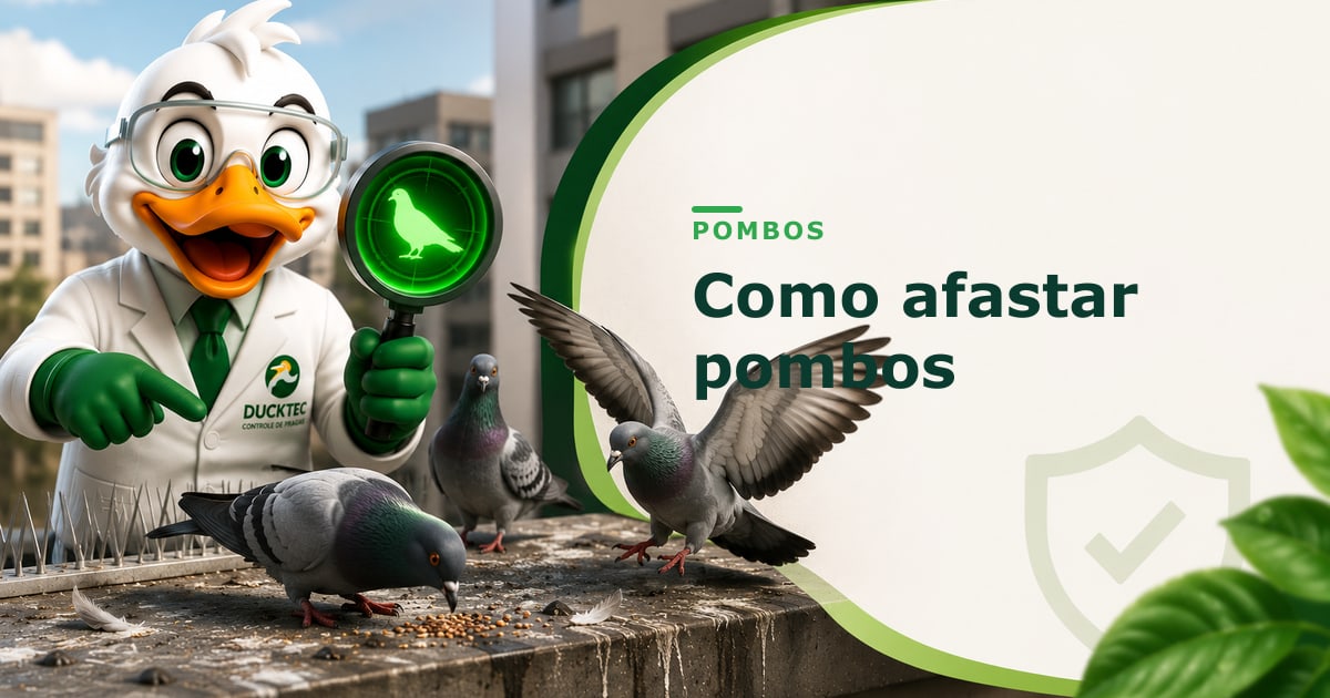 Como afastar pombos — Dr. Duck
