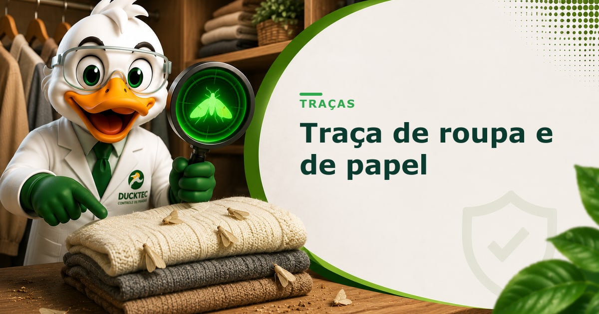 traça de roupa e de papel — Dr. Duck